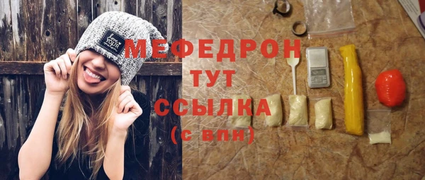 спиды Богородицк