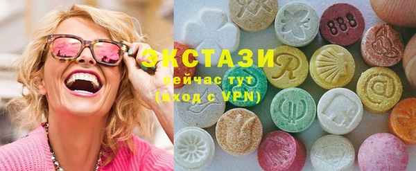 спиды Богородицк