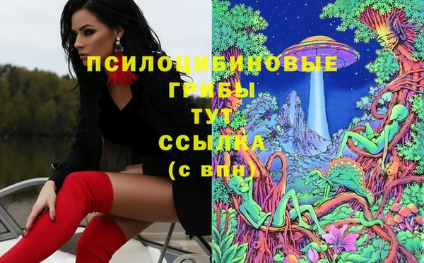 метадон Богородск
