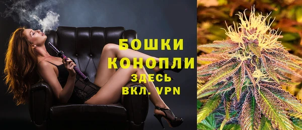 спиды Богородицк