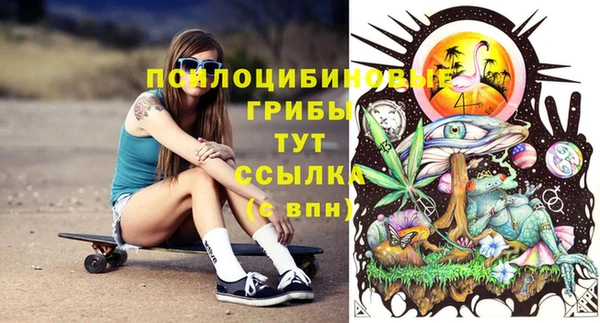 спиды Богородицк